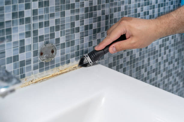 Best Certified Mold Removal  in Olive Hill, KY